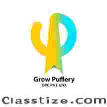 Best Digital Marketing Agency in Delhi for Business Growth