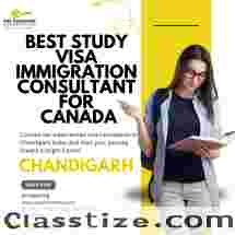 Find the Best Study Visa Immigration Consultant for Canada Today