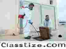 Trusted Pest Control Services for a Healthy & Pest-Free Home