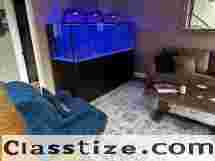 Professional Aquarium Maintenance Services – JKFish