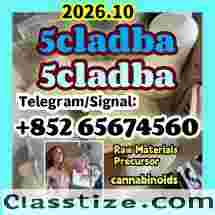   5cladba adbb jwh-018 5f-adb precursor ，main powder,yellow powder,raw material,Telegram/Signal：+852 65674560 5cladba Cas: 2709672-58-0，CAS 1119-51-3  5-Bromo-1-pentene ，DMF ，CAS 68-12-2，potassium carbonate，584-08-7， 5cladba Raw Materials precursor，5Cladba 5Cladba Yellow Cannabinoid Powder 5CL Strongest cannabis 5f abd 5cladba powder 5cl-adb-a jwh-018 lowest price large stock， 1119-51-3 68-12-2 dmf k2 584-08-7 109555-87-5  43120-28-1  alprazolam 28981-97-7 benzodiazepines      bromazolam 71368-80-4   etizolam 40054-69-1   802855-66-9 eutylone 3mmc 4mmc 17764-18-0 mdma   PMK 28578-16-7 powder oil ethyl glycidate 1369021-80-6 1451-82-7  BMK 5449-12-7 powder oil glycerin acid  49851-31-2  718-08-1  119276-01-6 protonitazene opioid isotonitazene metonitazene 14188-81-9 14680-51-4 China factory supply China supplier hot sale safe delivery door to door new formula top quality source factory yellow And  white powder best price free sample the warehouse has goods in stock  Telegram/Signal：+852 65674560