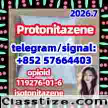 Protonitazene (hydrochloride) 119276-01-6 
