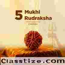 5 Mukhi Rudraksha (Five Faced) for Peace