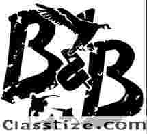 Guided Goose Hunt Colorado - Birds and bucks outdoors