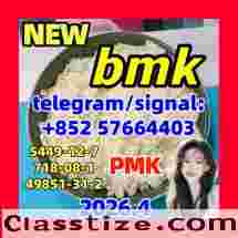 cas 5449-12-7 BMK Powder glycidate Bmk Glycidic Acid 