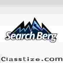 Starting from $199 GMB Reinstatement Service | Recover my Google Business Profile – Search Berg