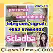 Top quality5cladba 5cladba precursor