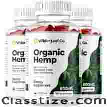 Can Wilder Leaf Gummies reduce joint pain?