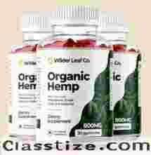 Does Wilder Leaf offer different hemp products?
