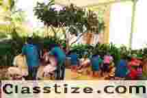 Foot Massage For Employee Wellness