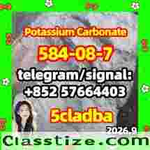 584-08-7 Potassium carbonate 