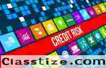 Business Information Credit Report