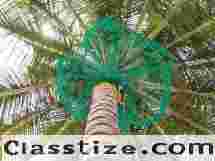 Best Coconut Tree Safety Net Service Provider in Bangalore | Call 