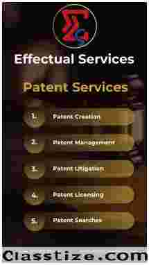 Patent support In USA-  Effectual Services