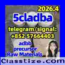 5cladb 5cladba 5cl 5cl Adb Strongest Cannabinoid In Stock From China at Best Price 