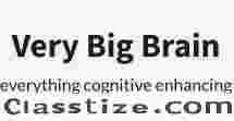 Very Big Brain