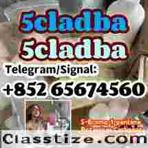  5cladba adbb jwh-018 5f-adb precursor ，main powder,yellow powder,raw material,Telegram/Signal：+852 65674560 5cladba Cas: 2709672-58-0，CAS 1119-51-3  5-Bromo-1-pentene ，DMF ，CAS 68-12-2，potassium carbonate，584-08-7， 5cladba Raw Materials precursor，5Cladba 5Cladba Yellow Cannabinoid Powder 5CL Strongest cannabis 5f abd 5cladba powder 5cl-adb-a jwh-018 lowest price large stock， 1119-51-3 68-12-2 dmf k2 584-08-7 109555-87-5  43120-28-1  alprazolam 28981-97-7 benzodiazepines      bromazolam 71368-80-4   etizolam 40054-69-1   802855-66-9 eutylone 3mmc 4mmc 17764-18-0 mdma   PMK 28578-16-7 powder oil ethyl glycidate 1369021-80-6 1451-82-7  BMK 5449-12-7 powder oil glycerin acid  49851-31-2  718-08-1  119276-01-6 protonitazene opioid isotonitazene metonitazene 14188-81-9 14680-51-4 China factory supply China supplier hot sale safe delivery door to door new formula top quality source factory yellow And  white powder best price free sample the warehouse has goods in stock  Telegram/Signal：+852 65674560