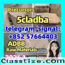 5cladba Precursor 5cl Powder 5cladba Precursor 5fadb 的成分