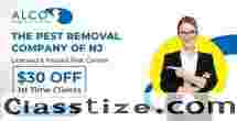 Termite Control in Haworth, NJ 