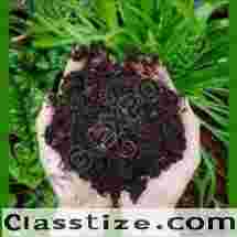 Vermicompost Exporters
