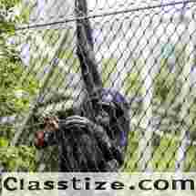 BMP: Leading the Way in Zoo Mesh and Aviary Netting Solutions Since 2006