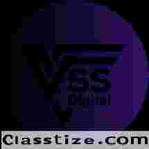 Top Web Development Companies in India | Expert Web Solutions - VSS Digital