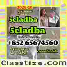  5cladba,jwh018,adbb,5f,raw material，main powder,yellow powder,Telegram/Signal：+852 65674560 5cladba Raw Materials precursor，5Cladba 5Cladba Yellow ，CAS 1119-51-3  5-Bromo-1-pentene ，DMF ，CAS 68-12-2，potassium carbonate，584-08-7， Cannabinoid Powder 5CL Strongest cannabis 5f abd 5cladba powder 5cl-adb-a jwh-018 lowest price large stock， 1119-51-3 68-12-2 dmf k2 584-08-7 109555-87-5  43120-28-1  alprazolam 28981-97-7 benzodiazepines      bromazolam 71368-80-4   etizolam 40054-69-1   802855-66-9 eutylone 3mmc 4mmc 17764-18-0 mdma   PMK 28578-16-7 powder oil ethyl glycidate 1369021-80-6   1451-82-7    BMK 5449-12-7 powder oil glycerin acid  49851-31-2  718-08-1  119276-01-6 protonitazene opioid  isotonitazene metonitazene 14188-81-9 14680-51-4 China factory supply China supplier hot sale safe delivery door to door new formula top quality source factory yellow And  white powder best price free sample the warehouse has goods in stock  Telegram/Signal：+852 65674560