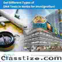 Role and Significance of DNA Tests in Noida for Immigration Purposes