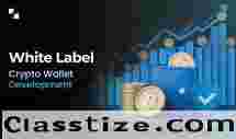 White Label Crypto Wallet Development: Gain The Trust Of Your Users 