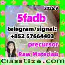 5CLADBA — The Definitive 5CLADBA