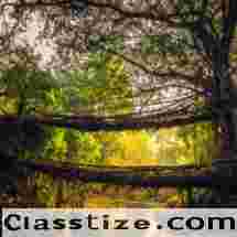 Plan Your Perfect North East Tour Package to Visit Arunachal Pradesh