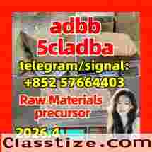 Buy 5CL-ADB-A Raw Materials precursor Online | Lab Tested 99% Pure