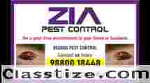 Bed Bug Treatment 100 % Kills Bed Bugs | Bangalore Pest Control | 5030