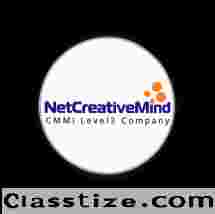 Government Web Portal Development In Delhi