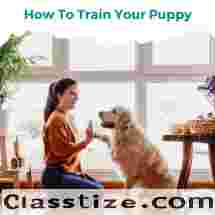 How To Train Your Puppy Digital - Ebooks