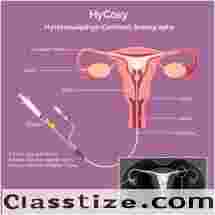 IVF and Genetic Testing in Abu Dhabi
