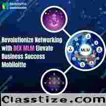 Elevate Your MLM Business to New Heights with Mobiloitte's DEX Expertise