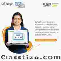 SAP Business One Software Support