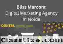 Boost Your Revenue with Blissmarcom: Premier Digital Marketing Agency in Noida