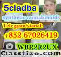 strongest cannabis 5cladba powder