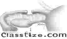 Top-Rated IVF Centre & Infertility Clinic in Bangalore - Expert IVF Treatments -  Best Infertility Clinic & Hospital In Bangalore - Best Ivf Centre In Bangalore 