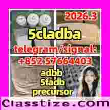 5cladba raw material 5CL-ADB-A precursor raw 5cladba 5f adb 4fadb 