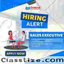 Sales Executive Job At Abs Digital Services