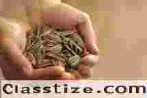 @# You can use my love spells to get your ex back after a breakup: [+27790412887]