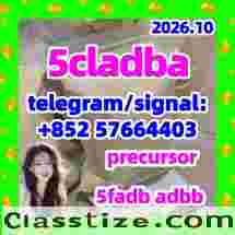 China Supplier 5cladba precursor raw 5cl