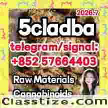 5cladba Precursor for Sale 2026: Direct China Supplier — 99%+ Purity