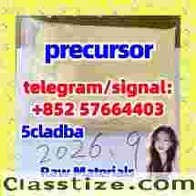 5cladba precursor powder 5cl adbb powder |