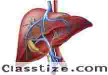 Expert Care for Liver Cirrhosis Treatment in Ahmedabad  