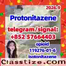 opioid Protonitazene 119276-01-6