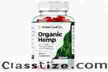 Can Wilder Leaf Hemp be combined with exercise?